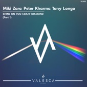 Shine On You Crazy Diamond (Miki Zara Mix) artwork