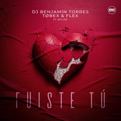 Fuiste Tú (feat. Nylor) - Single