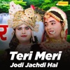 Teri Meri Jodi Jachdi Hai - Single