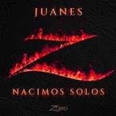 Nacimos Solos (Banda Sonora Original de la serie "Zorro") artwork