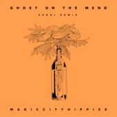Ghost On The Mend (veggi remix) artwork