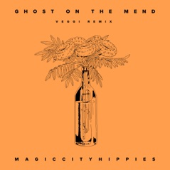 Ghost On The Mend (veggi remix) - Single