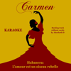 Carmen, Wd 31, Act I: Habanera "L'amour est un oiseau rebelle" (Instrumental Version) - Aberforth D