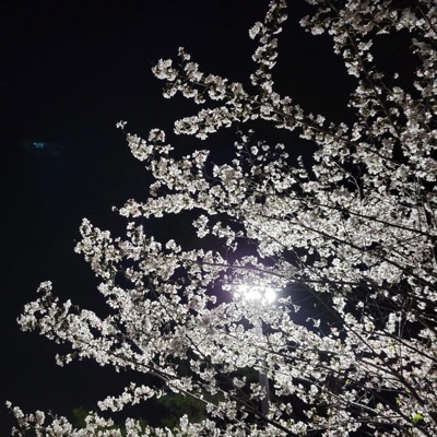 眩しい - Single