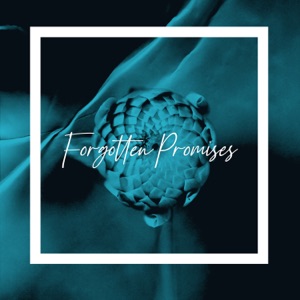 Forgotten Promises