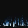 Sometimes Lost