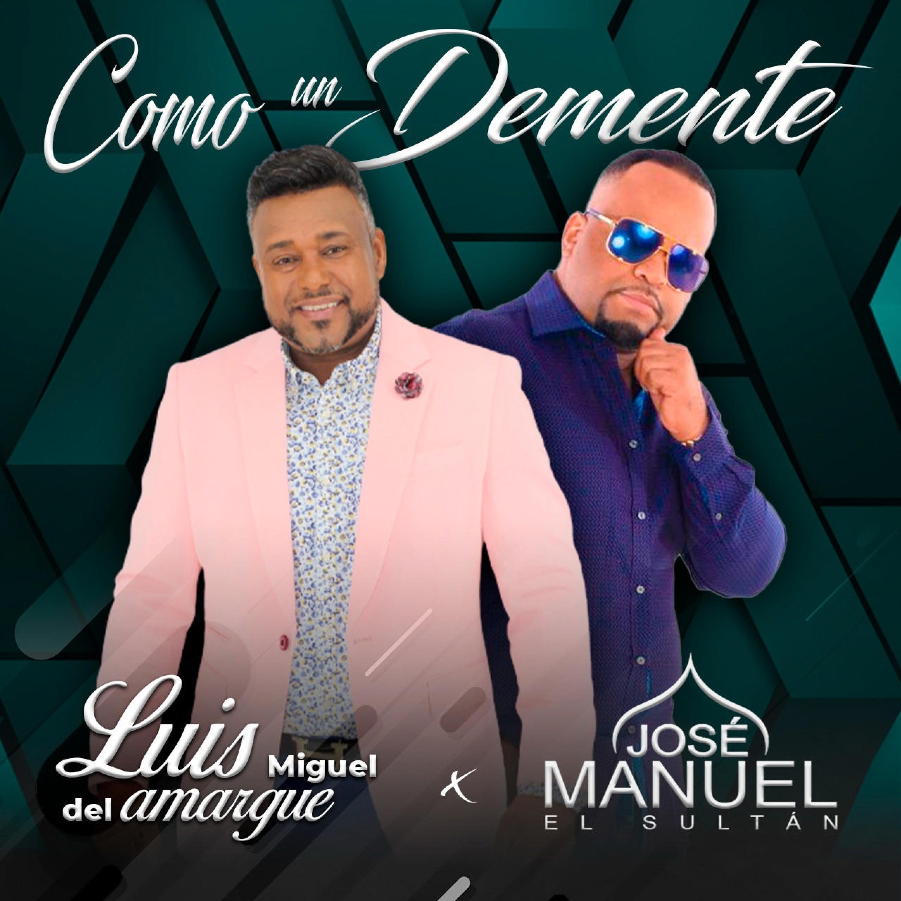 COMO UN DEMENTE (feat. LUIS MIGUEL DEL AMARGUE) - Single