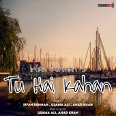 Tu Hai Kahan artwork