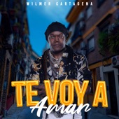 Te voy a amar (feat. Johao Cartagena) artwork