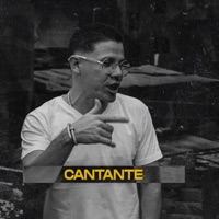 Cantante (feat. Marky Mel) - Single - Holguin MC