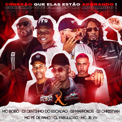 Conexão Que Elas Estão Adorando! - Single