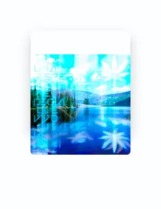 Rifを聴いたり、ミュージックビデオを鑑賞したり、経歴やツアー日程などを確認したりしましょう！