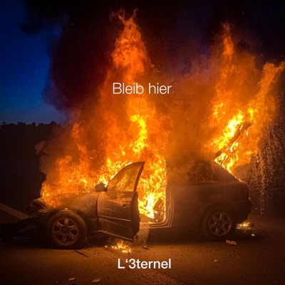 Bleib hier - Single