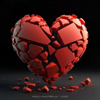 Voice - Single - Inr1x & HUNTERLUV