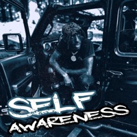 Self Awareness - Single - Terrible2Parish