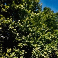 Çok Daha - Single - Akin Orbay & Den Ze