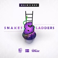 Snakes & Ladders (feat. Quin C Dey) - Single - Tedstarmusicgroup