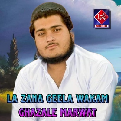 Ghazale Marwat - La Zana Geela Wakam
