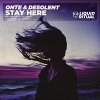 Stay Here - Single - onte & Desolent