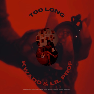 Too Long - Single