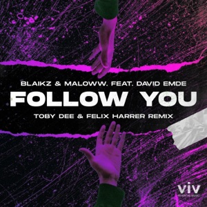 Follow You (Toby DEE & Felix Harrer Remix) [feat. David Emde & maloww.] - Single