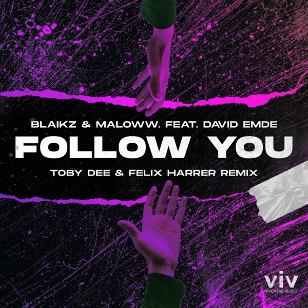 Follow You (Toby DEE & Felix Harrer Remix) [feat. David Emde & maloww.] - Single