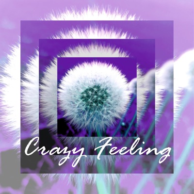 Crazy Feeling - Single