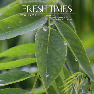 Fresh Times Remixes - EP