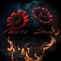 Nesfe Shab (feat. Parsa) - Single - Saretan