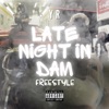 Late Night In Dam Freestyle - Single