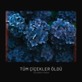 Tüm Çiçekler Öldü artwork