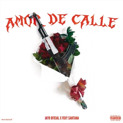 AMOR DE CALLE (feat. JayR Oficial) - Single