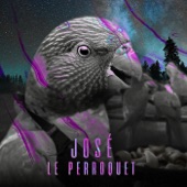 JOSÉ LE PERROQUET artwork