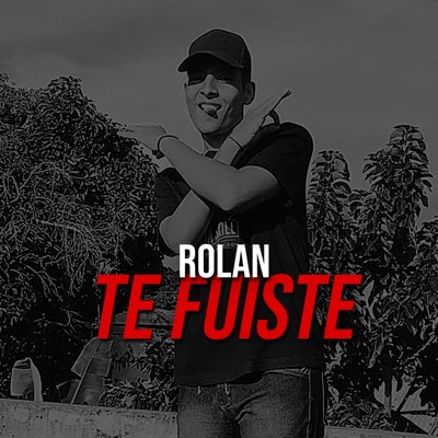 Te Fuiste - Single