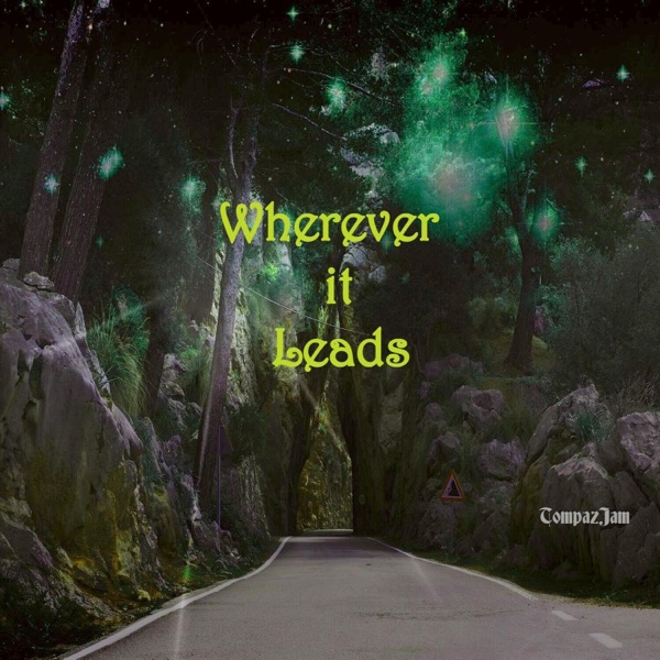 Wherever it Leads - Single cover