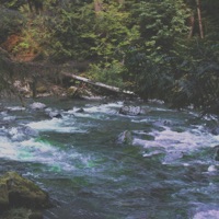 So Much More - Single - Sinnr