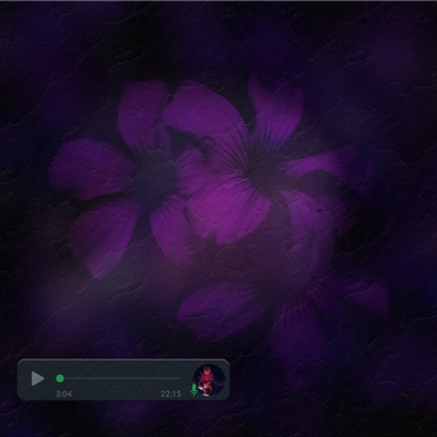 Message - Single