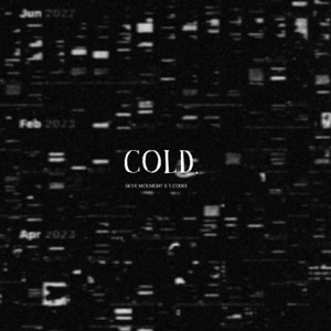 COLD. (feat. T-Codee)