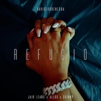 Refugio (feat. Jair Latin, Skinny Vince & Alldo) - Single - David Torrenegra