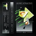  - SECRET ATTRACTION  SO REAL