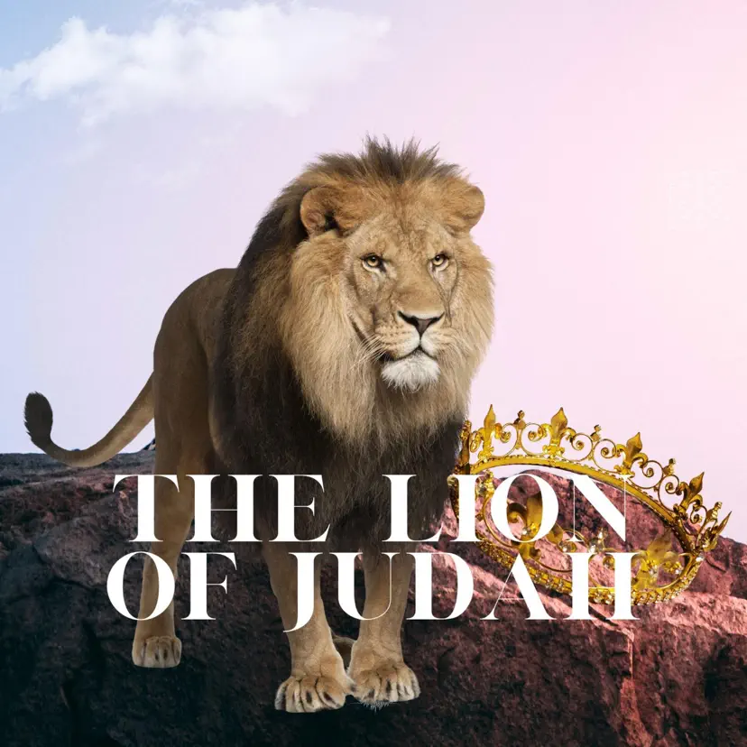 judah and the lion net worth - Ilustrasi 2