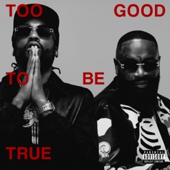 TOO GOOD TO BE TRUE cover art