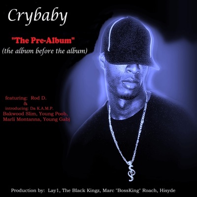 The Pre-Album (The album before the album)