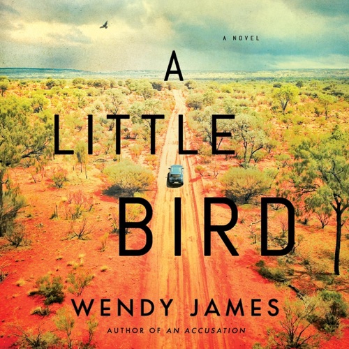 A Little Bird: A Novel (Unabridged) cover