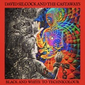 David Silcock - Black and White to Technicolour