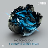 No Tomorrow (feat. Sophie Lindinger & Mefjus) [P Money X Whiney Remix] artwork
