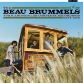 The Beau Brummels - I Want You