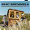 Silkie - The Beau Brummels lyrics