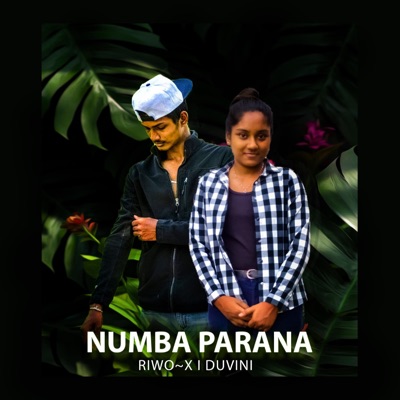NUMBA PARANA (feat. DUVINI) - Single