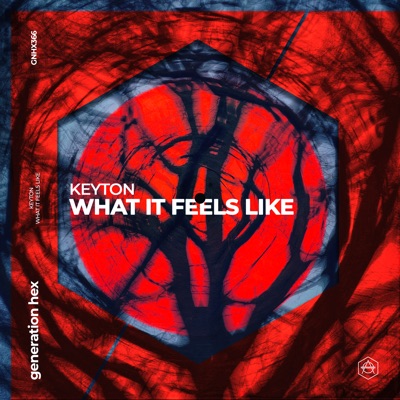 What It Feels Like - Single